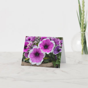 Petunia Thank You Card