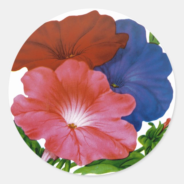 Petunia Vintage Seed Packet Classic Round Sticker (Front)