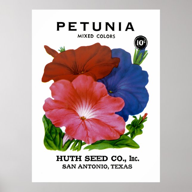 Petunia Vintage Seed Packet Poster (Front)