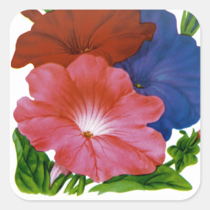 Petunia Vintage Seed Packet Square Sticker
