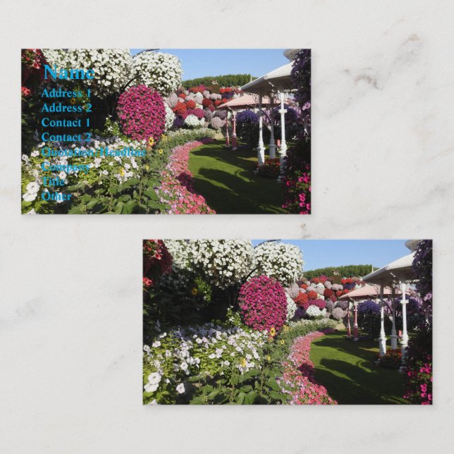 Petunias Business Card (Front/Back)