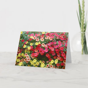 Petunias Card