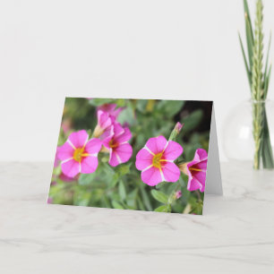 Petunias Card