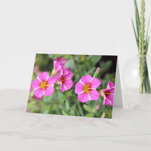 Petunias Card (Front)