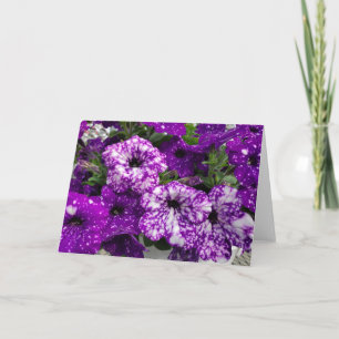 Petunias card