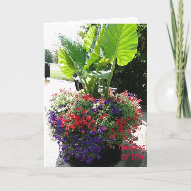 Petunias & Elephant Ear, Thinking of You Card (Front)