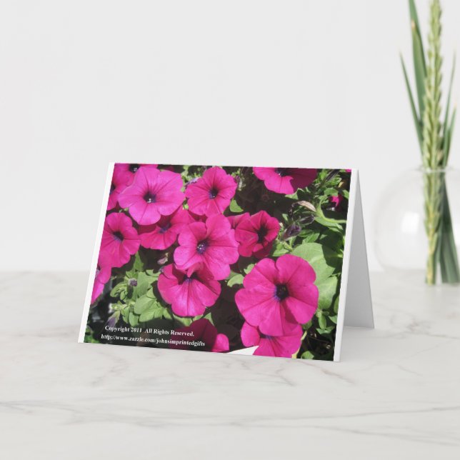 Petunias Holiday Card (Front)