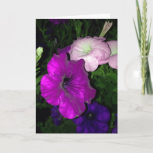 Petunias Thank You Card