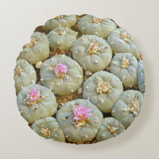 Peyote Throw Pillow