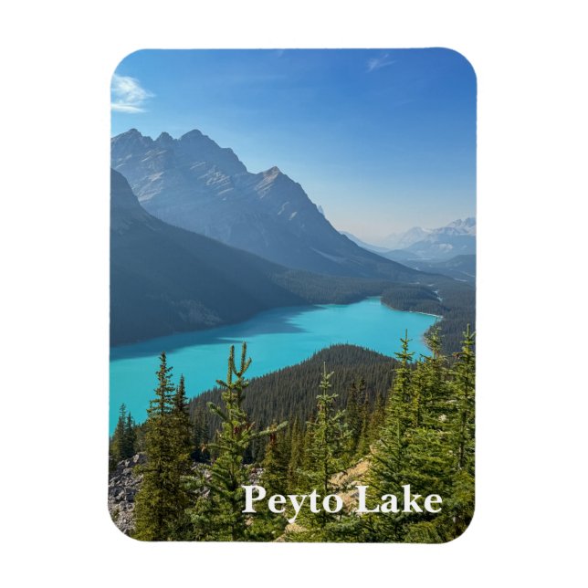 Peyto Lake in Banff Canada Magnet (Vertical)