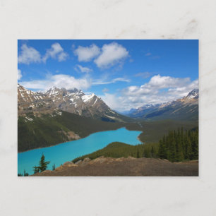 Peyto Lake (Postcard) Postcard