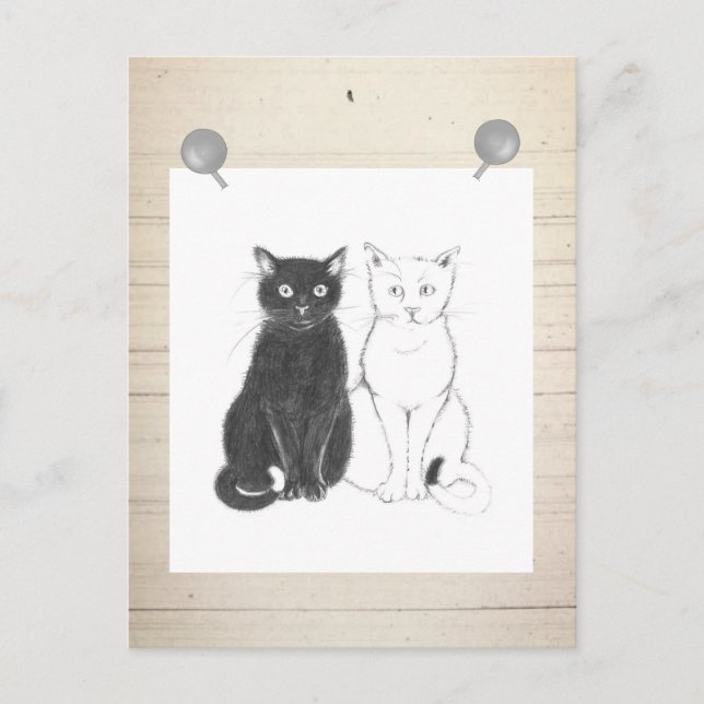 Pfeffer und Salz Postcard (Front)