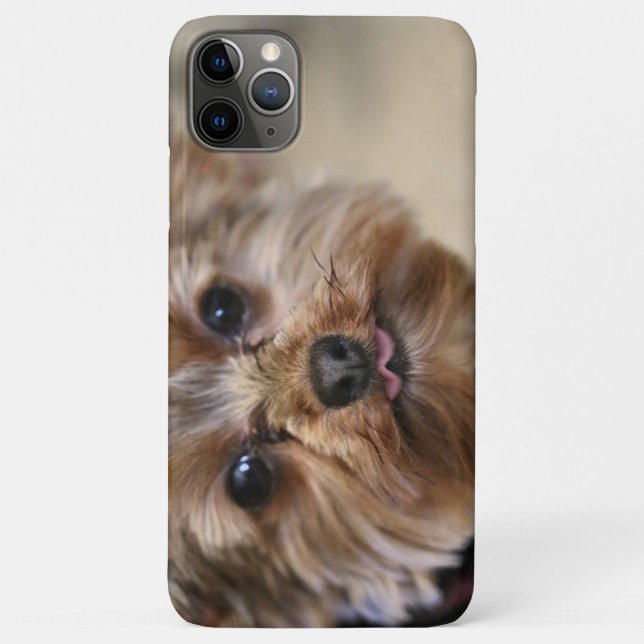 Pfft Case-Mate iPhone Case (Back)