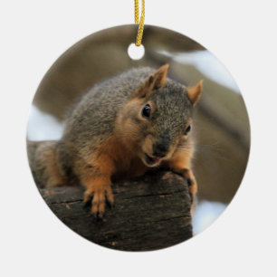 Pfft Ceramic Ornament