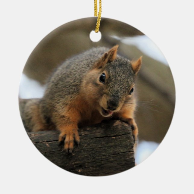 Pfft Ceramic Ornament (Front)