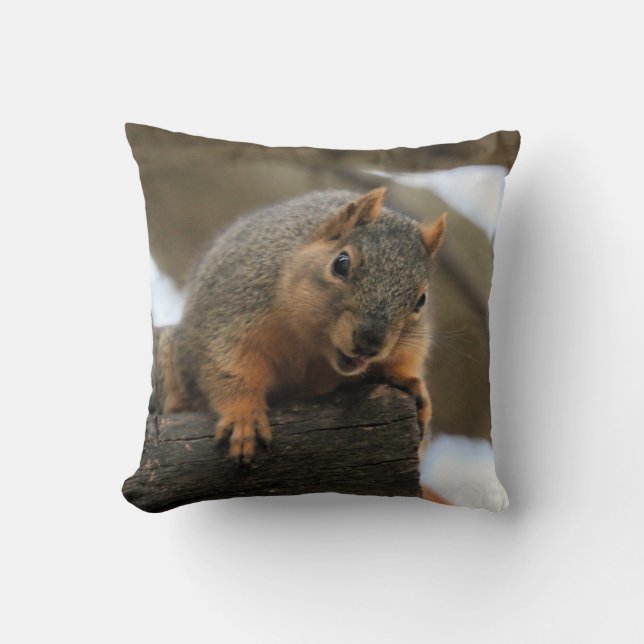 Pfft Cushion (Front)
