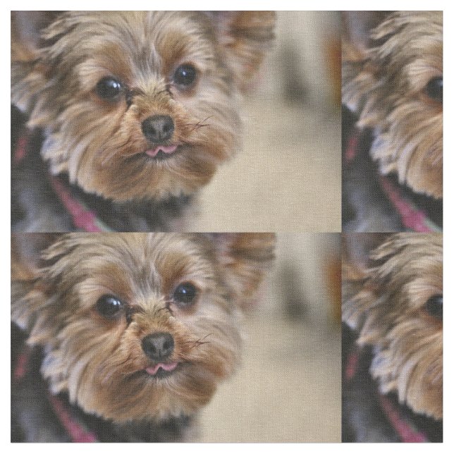 Pfft! Fabric (Close Up)