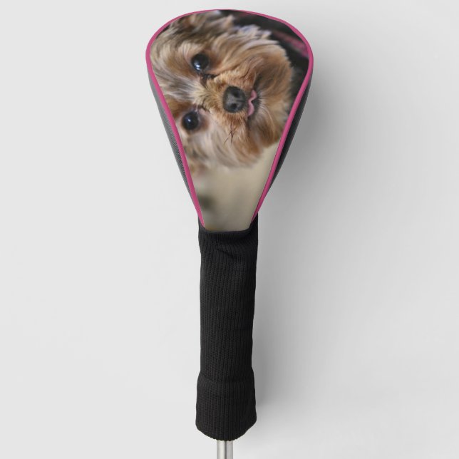 Pfft Golf Head Cover (Front)