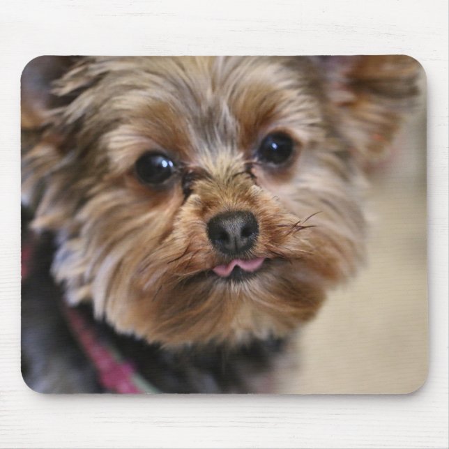 Pfft! Mouse Pad (Front)