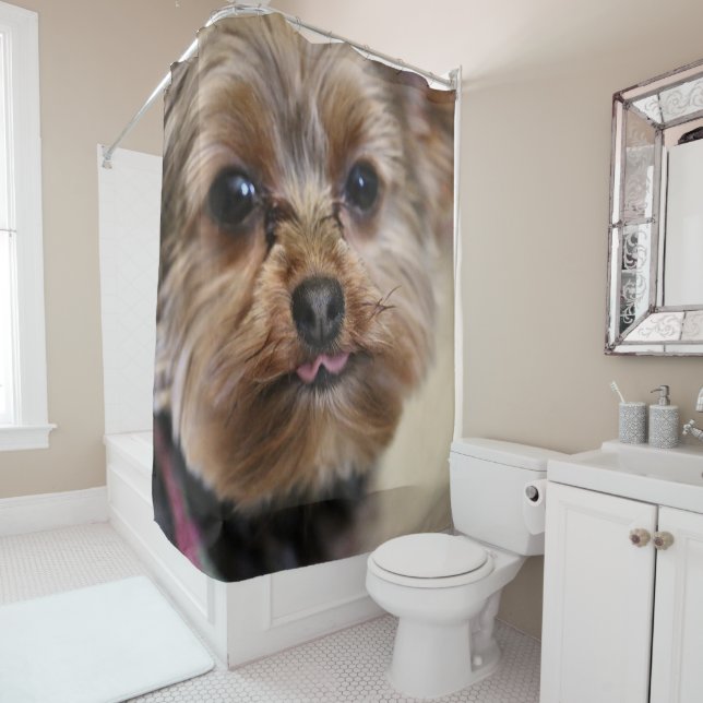 Pfft! Shower Curtain (In Situ)