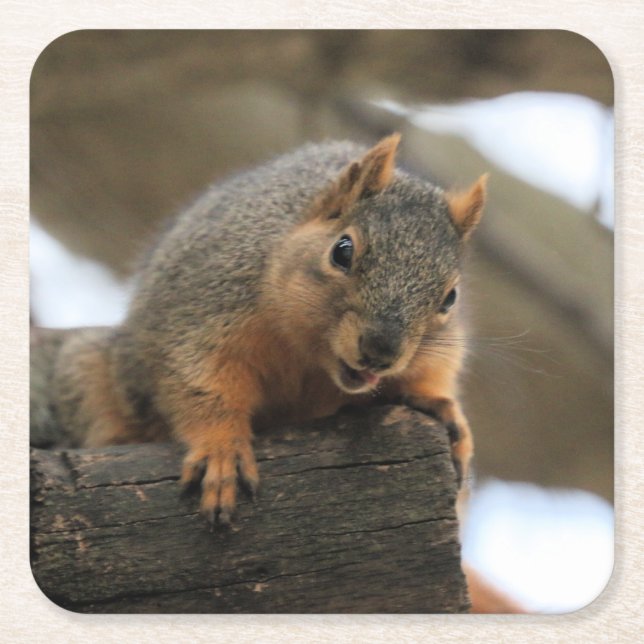 Pfft Square Paper Coaster (Front)