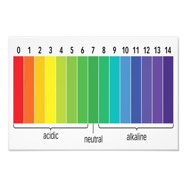 pH Scale Photo Print (Front)