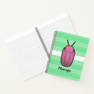 Phacops Trilobite- Prehistoric Animal Notebook