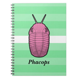 Phacops Trilobite- Prehistoric Animal Notebook