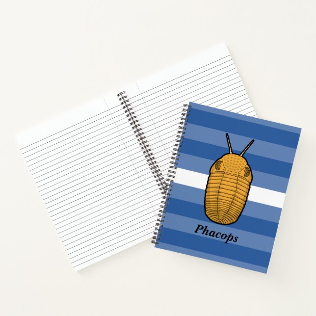 Phacops Trilobite- Prehistoric Animal Notebook (Inside)