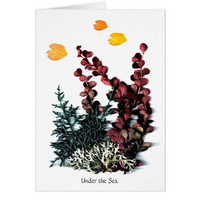 Phaedra's Phantasies - Under the Sea (Front)