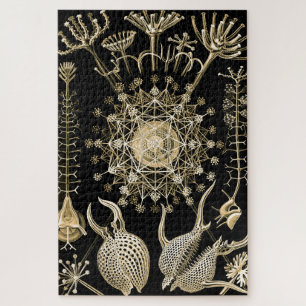 Phaeodaria 61 Gold Ernst Haeckel Jigsaw Puzzle