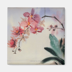 Phalaenopsis Magnet
