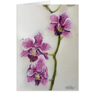Phalaenopsis "Moth Orchid" 5" x 7", with envelope