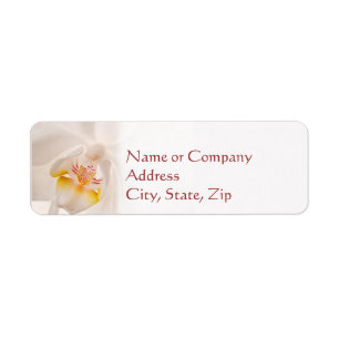 Phalaenopsis Moth Orchid Return Address Label