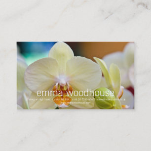 Phalaenopsis Orchid Business Card