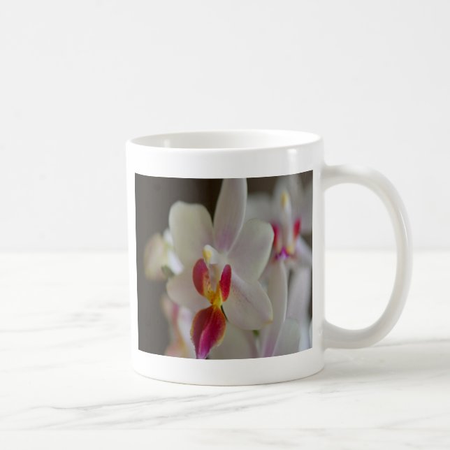 Phalaenopsis Orchid Coffee Mug (Right)