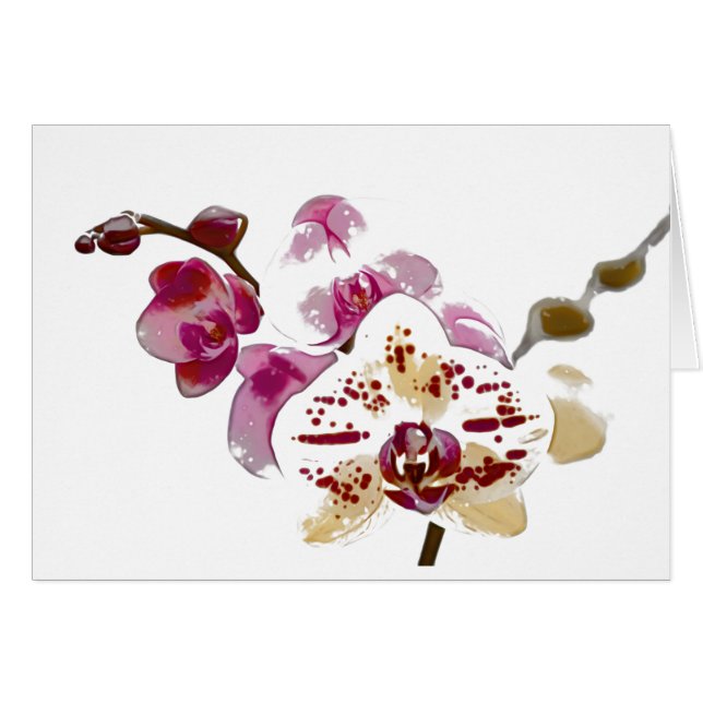 Phalaenopsis Orchid Flower Bouquet (Front Horizontal)