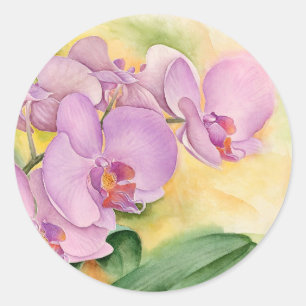 Phalaenopsis Orchid Flowers - Multi Classic Round Sticker