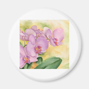 Phalaenopsis Orchid Flowers - Multi Magnet
