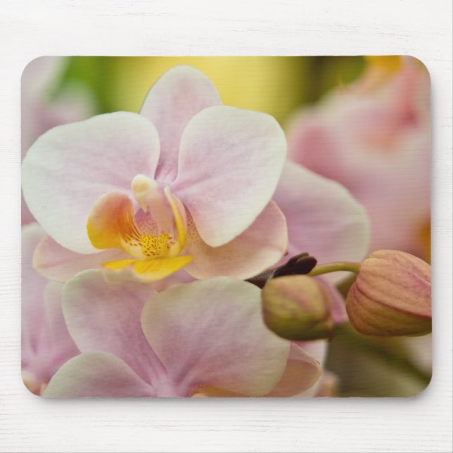 Phalaenopsis Orchid Mouse Pad (Front)