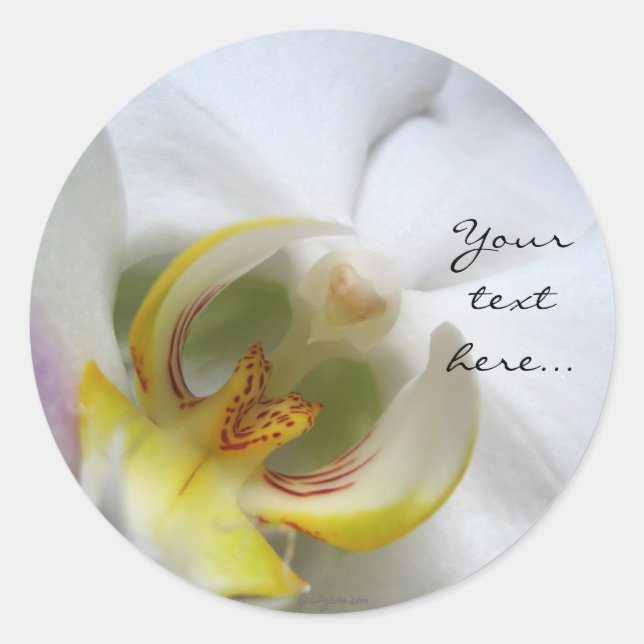 Phalaenopsis Orchid Wedding Invitation Seals (Front)