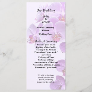 Phalaenopsis Orchids Large and Small Program