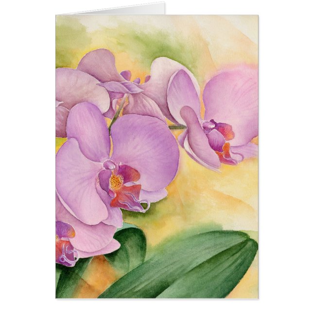 Phalaenopsis Orchids Pink Purple Flowers (Front)