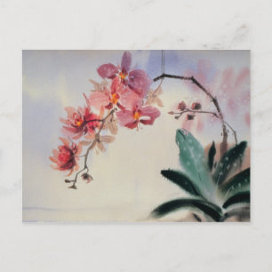 Phalaenopsis Postcard