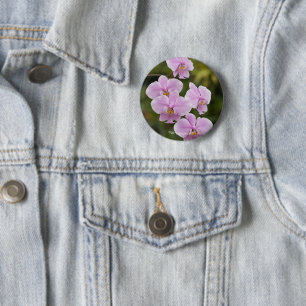 Phalaenopsis Schilleriana 6 Cm Round Badge