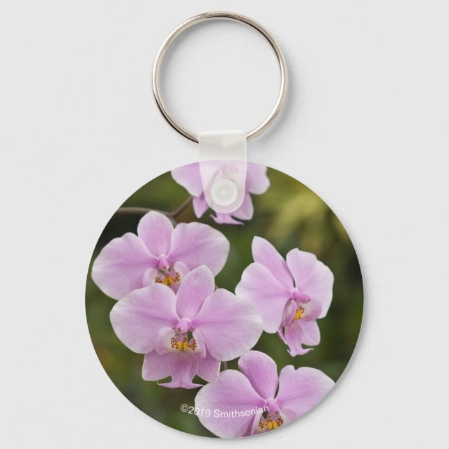 Phalaenopsis Schilleriana Key Ring (Front)
