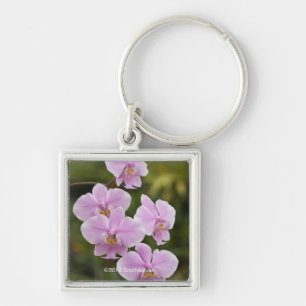 Phalaenopsis Schilleriana Key Ring
