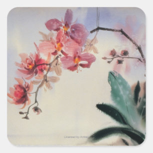 Phalaenopsis Square Sticker