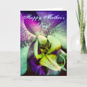 Phalenopsis Orchid Happy Mother's Day Card