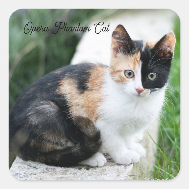 Phantom Opera Cat Square Sticker (Front)